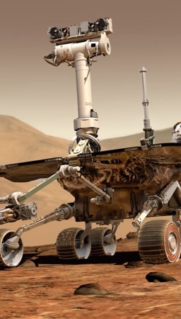 An image of curiosity