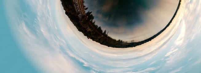 An image of fisheye
